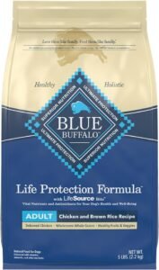 Read more about the article 5 Reasons Why Blue Buffalo Dog Food Should Be Your Canine’s Ultimate Choice!