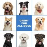The Ultimate Guide to Waterless Dog Shampoo