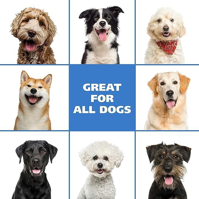 You are currently viewing The Ultimate Guide to Waterless Dog Shampoo