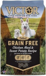 Read more about the article 5 Surprising Ways Victor Dog Food Transforms Your Pup’s Health and Happiness!