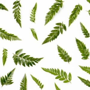 Top 7 Traditional Indian Remedies​