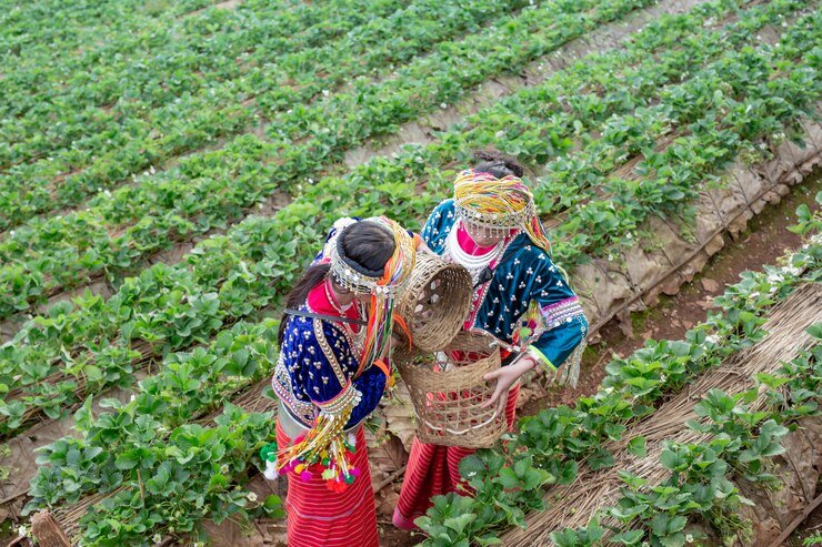 You are currently viewing Breaking Ground:10 Sustainable Farming Techniques Transforming Indian Agriculture